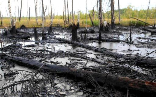 рекультивация